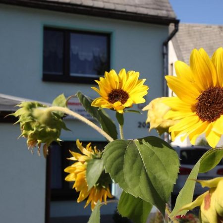 Ferienwohnung Lippmann Grosshartmannsdorf Buitenkant foto