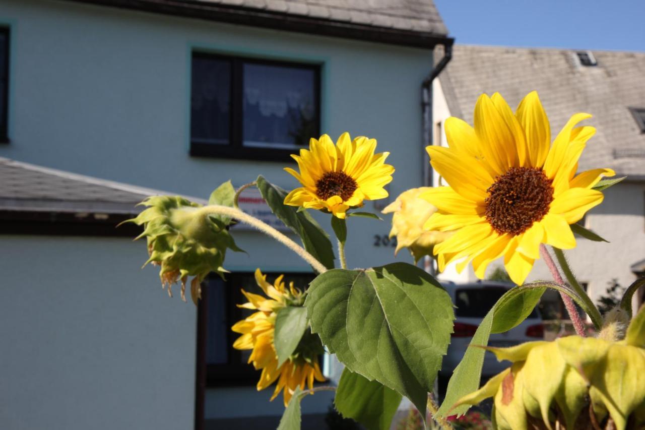 Ferienwohnung Lippmann Grosshartmannsdorf Buitenkant foto