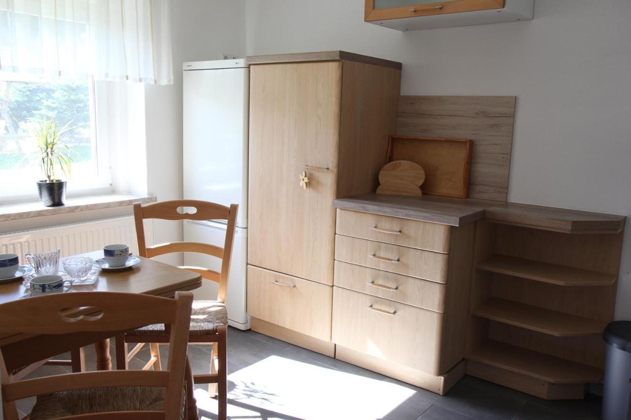 Ferienwohnung Lippmann Grosshartmannsdorf Buitenkant foto
